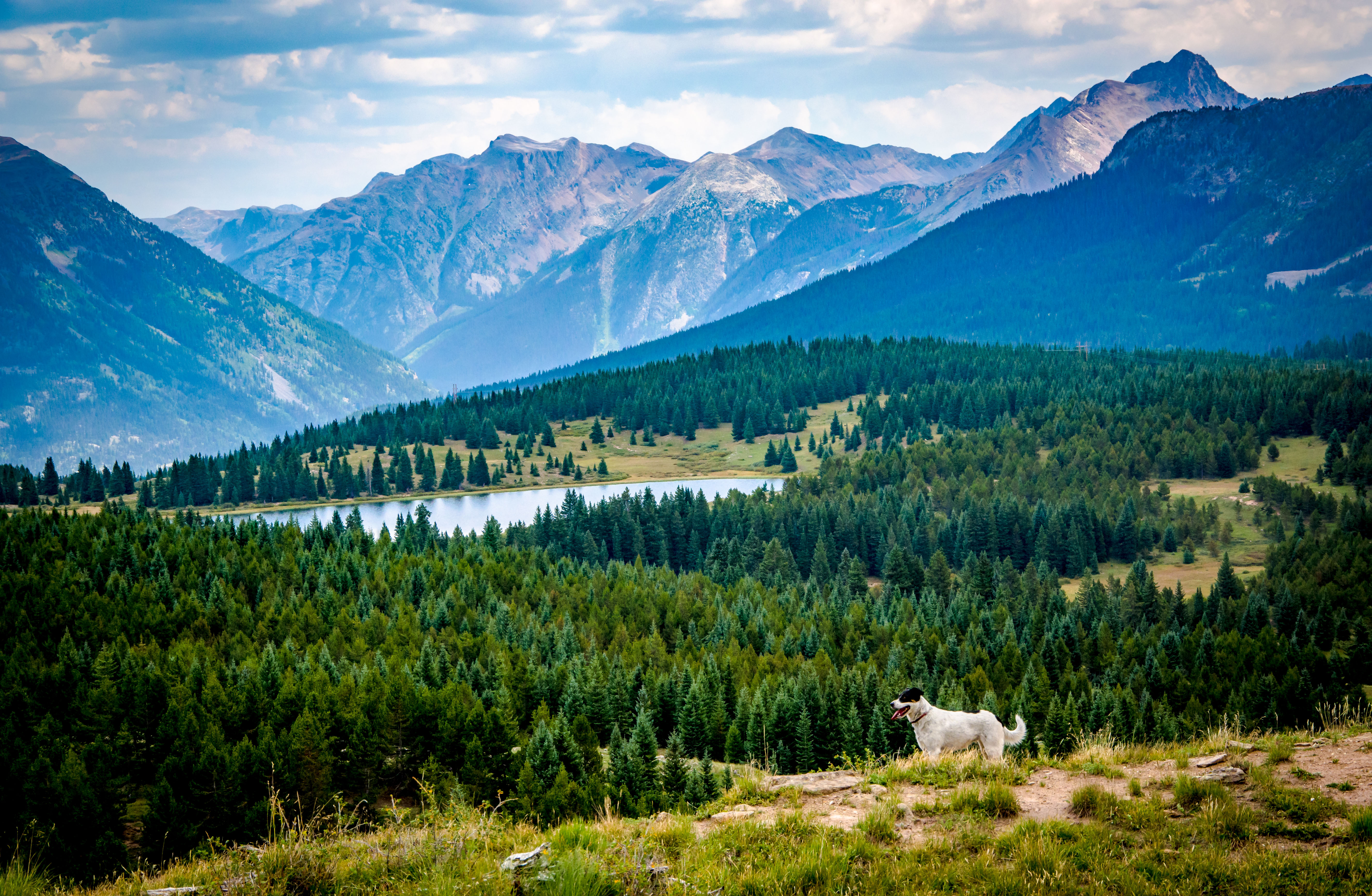 Travel PT Adventures to Little Molas Lake