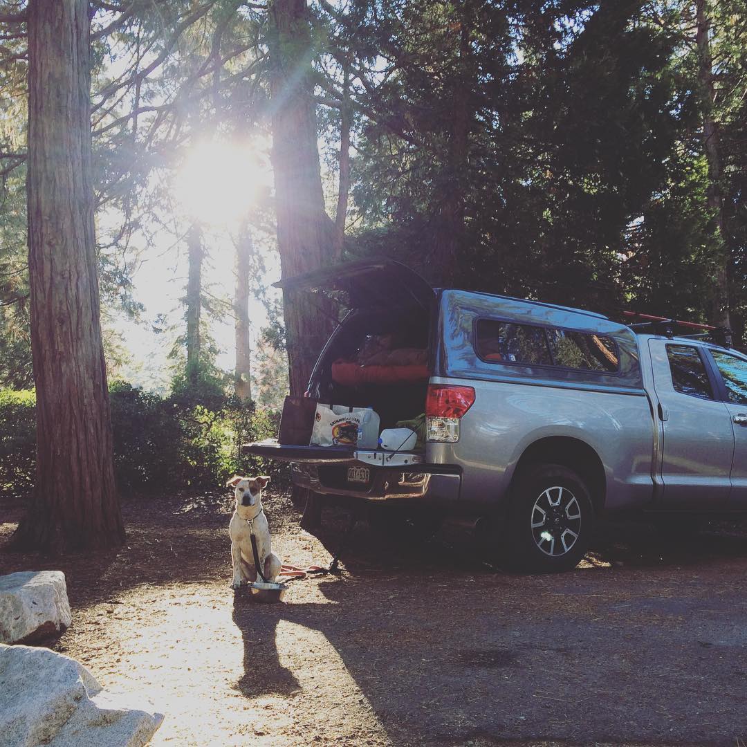 Truck in Sequoia National Park