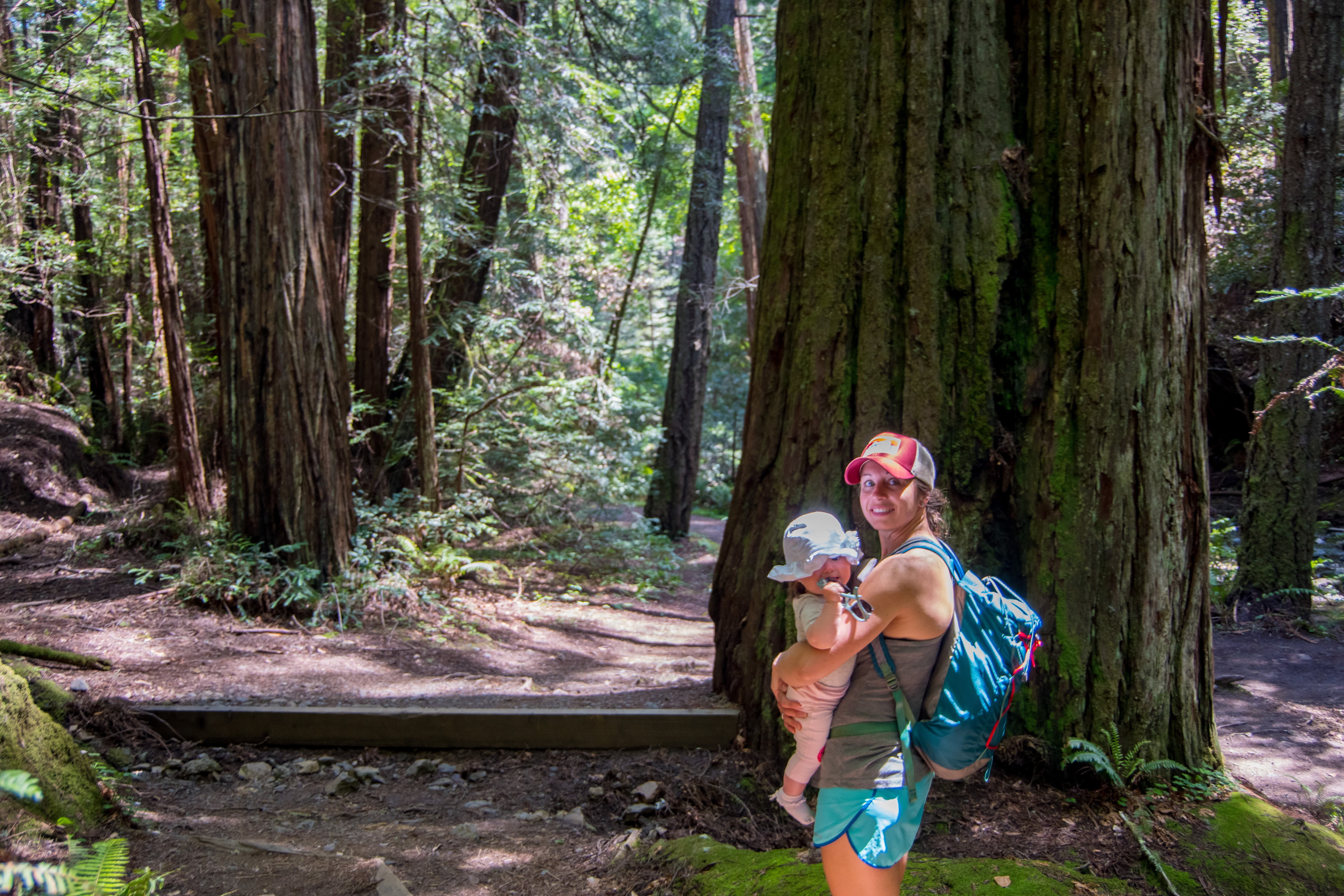 mother carrying baby through redwood forest